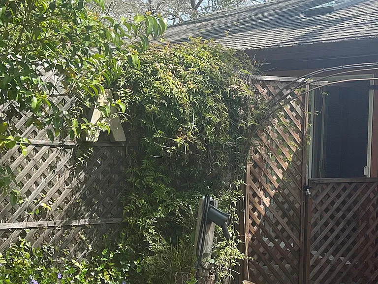 6491 Forestville St — Photo 11