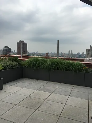 Rented by Douglas Elliman | media 17