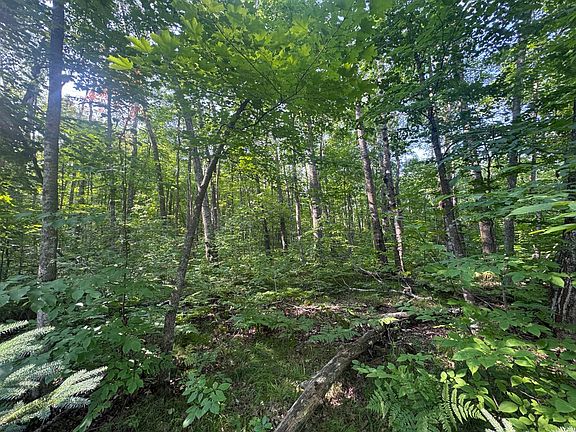2nd image of Howard Lake Rd NW