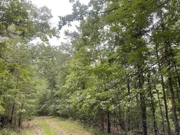 933 Apex Ct #933, Ranger, GA 30734