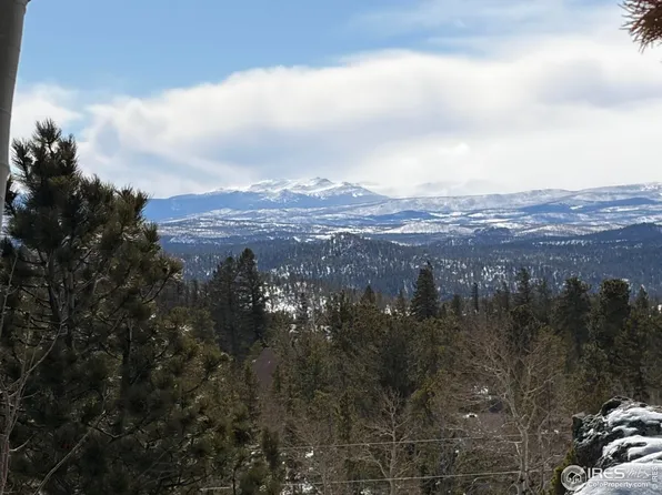 115 Wenro Ct, Red Feather Lakes, CO 80545