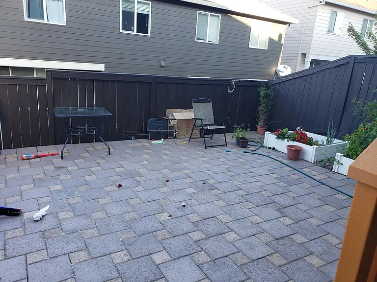 Finished backyard