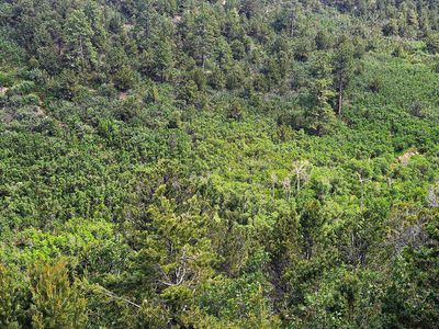 175 T C Ln, Montrose, CO, 81403