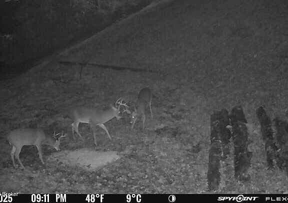 4th image of 0 Three Lick Rd