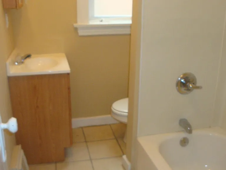 2831 Gasconade St #1 — Photo 6