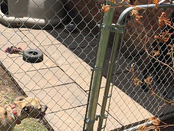 Side gated dog yard & patio