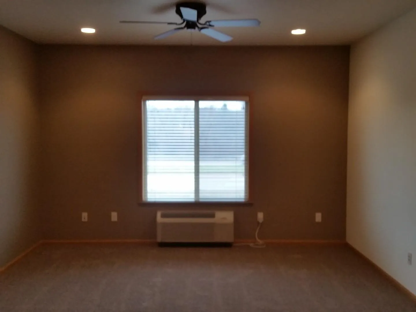 Studio, 445 sqft, $750 — Photo 3