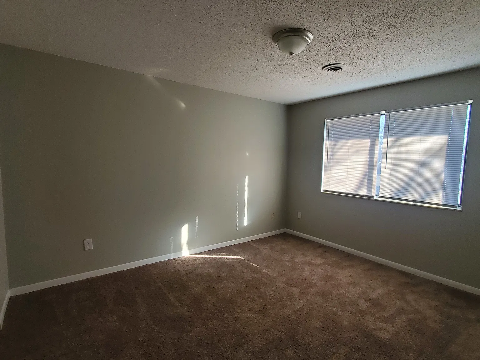 2 bed, 800 sqft, $1,126 — Photo 4