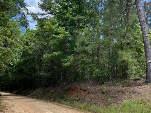 Tryus Bracken Rd, Sontag, MS 39665