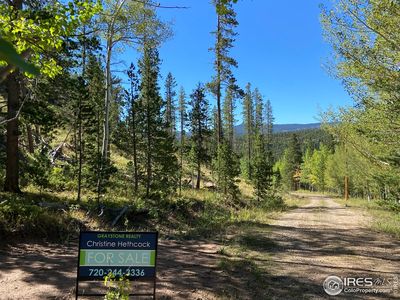 90 Benaki Ct, Red Feather Lakes, CO, 80545