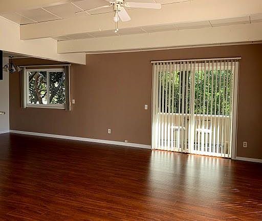 Living room / Dinning room / Patio