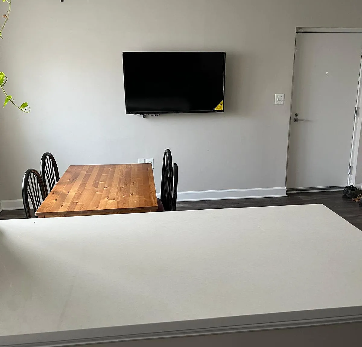 1 bed, 800 sqft, $1,250 — Photo 2