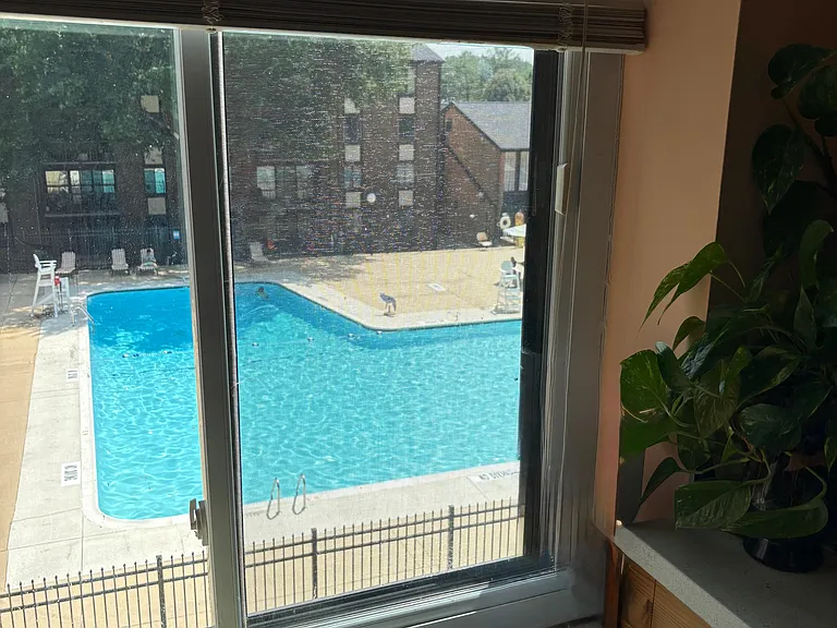 View of Pool From Kitchen