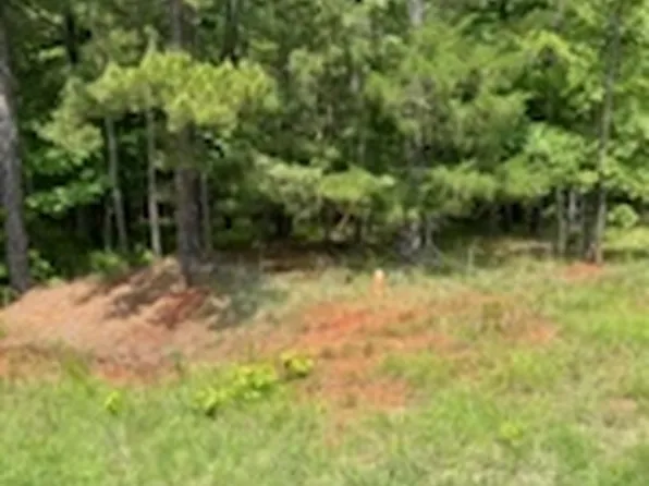 0 Bellewood Dr Lot A, Washington, GA 30673