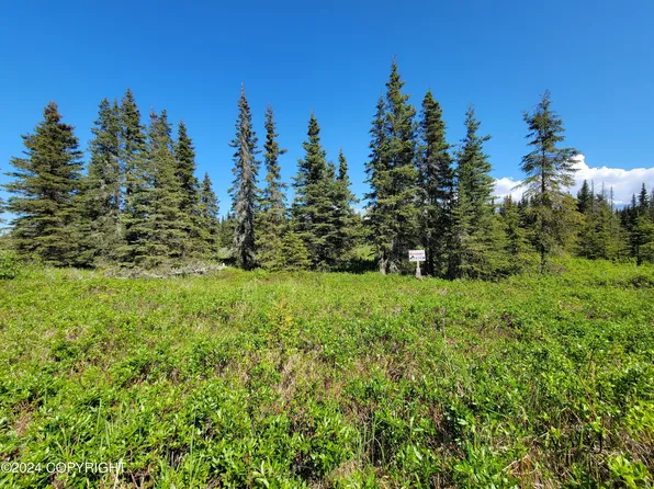 19870 Sterling Hwy, Ninilchik, AK 99639