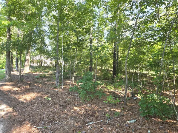 620 Plantation Dr, Santee, SC 29142