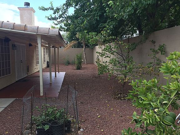 Backyard with fruit trees