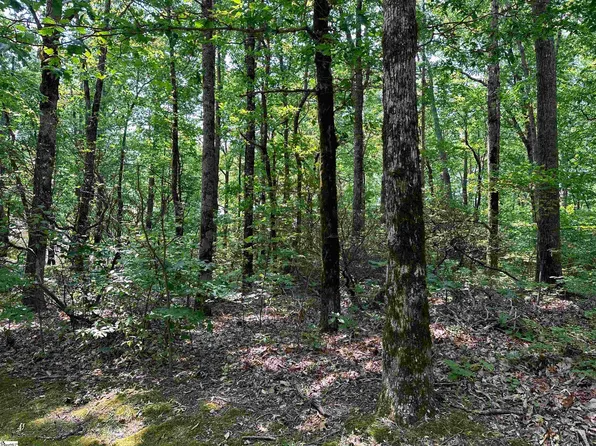 7 Grouse Dr, Landrum, SC 29356