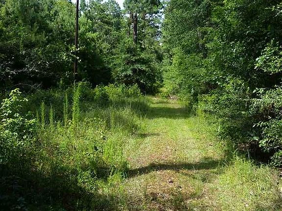 2nd image of 660 County Road 415