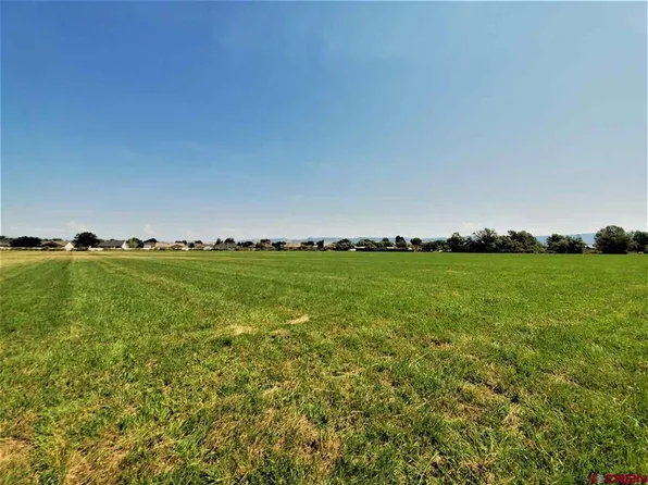 Lot 2 Odelle Road, Montrose, CO 81401