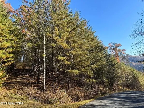 0 Bear Track Way Lot 86, Del Rio, TN 37727