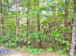 Rainbow Cir, Townsend, TN 37882