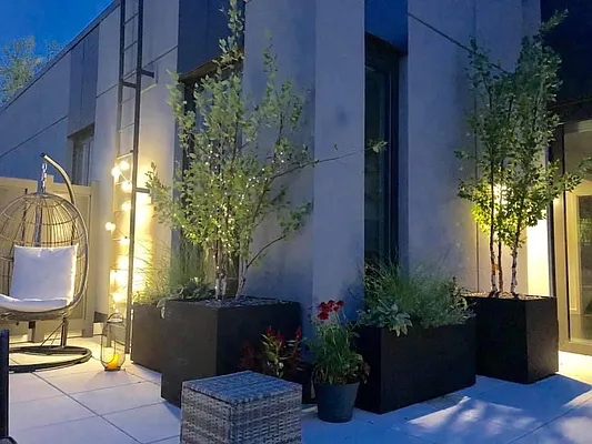 Rented by Douglas Elliman | media 10