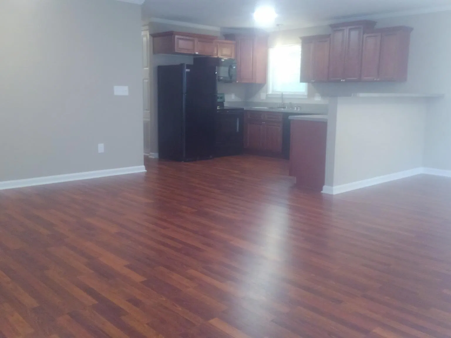 2 bed, 1300 sqft, $1,650 — Photo 4