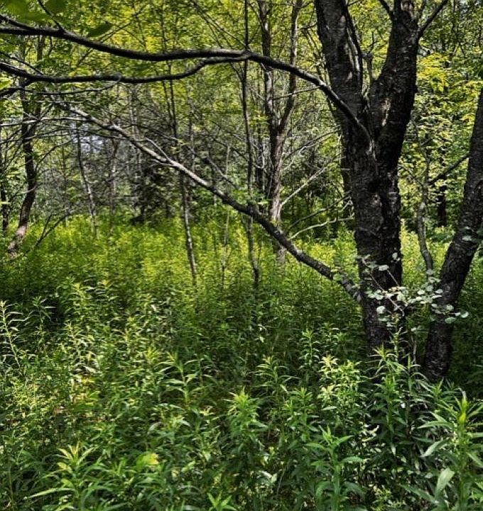 Airport Rd, Ironwood, MI 49938 MLS 50105918 Zillow