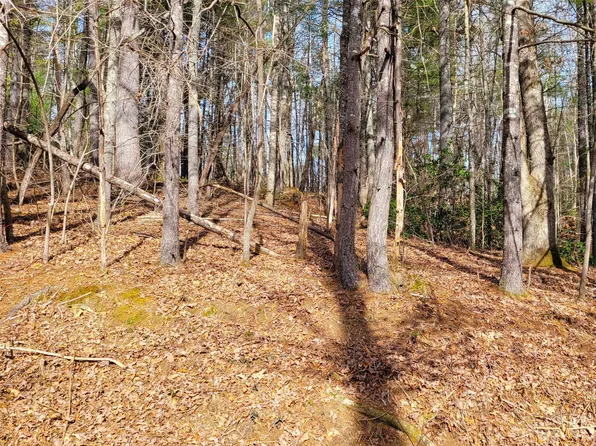 0 Delacy Dr, Hendersonville, NC 28739