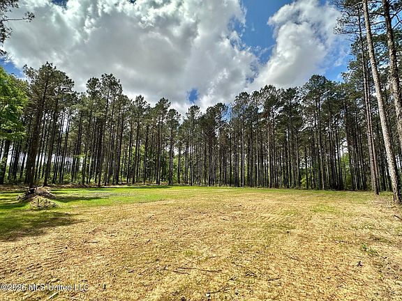 4th image of 2 Morgan Rd Lot 2