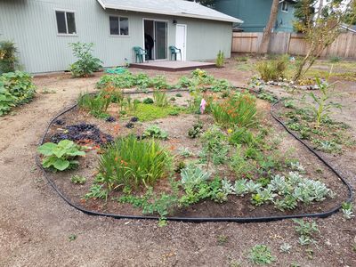 1080 NE Thomas St, Hillsboro, OR, 97124