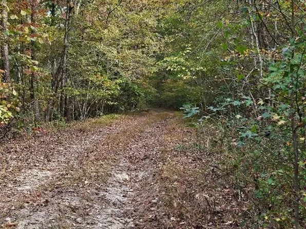0 Fruit Farm Rd, Summerville, GA 30747