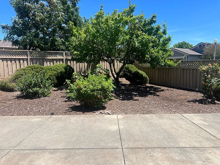 1205 Shadow Glen Ln — Photo 54