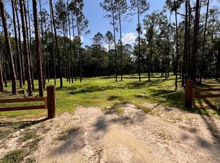 0 NE Webb Ln, Steinhatchee, FL 32359