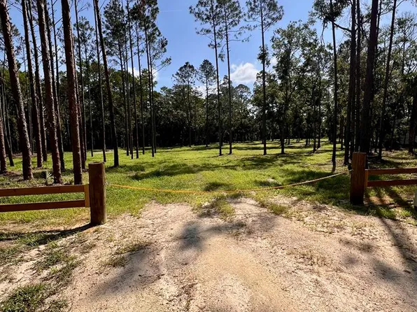 00 NE Webb Ln, Steinhatchee, FL 32359