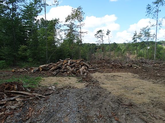 3rd image of Tbd Sylvatus Hwy