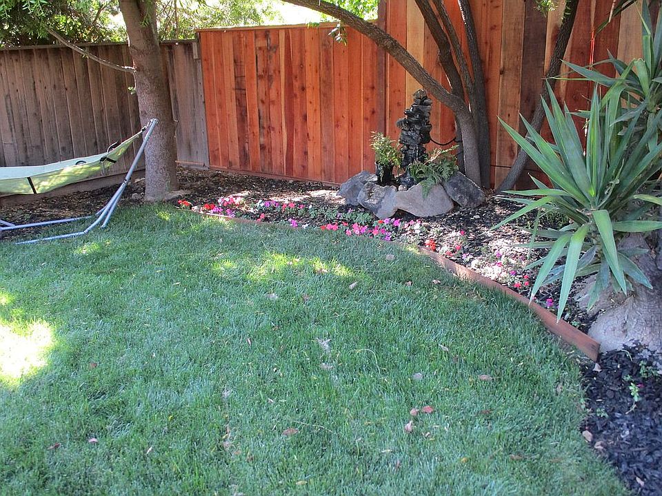 new  lawn and landscape