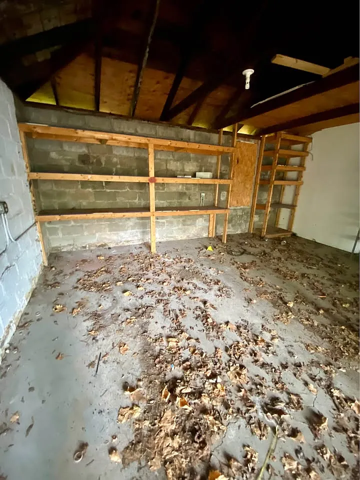 1 bed, 200 sqft, $200 — Photo 3
