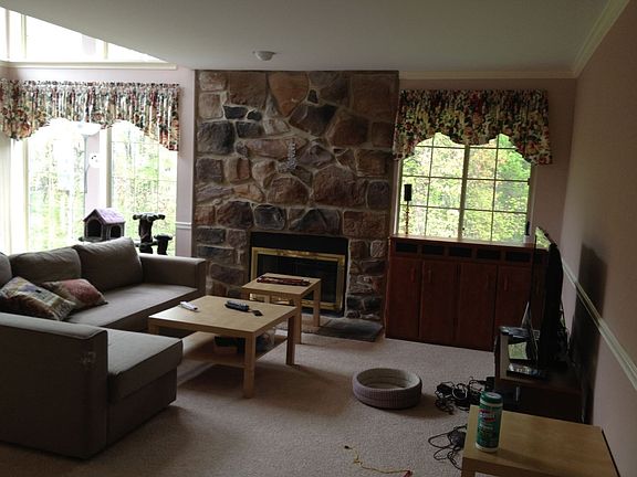 Living room fireplace