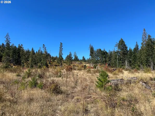Snag Rd, Lyle, WA 98635