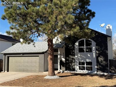 4320 Neal Ct, Colorado Springs, CO, 80916