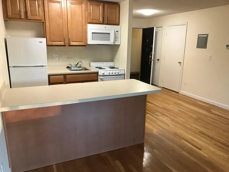 62 Homer Ave #3
