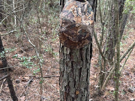 5th image of 0 Country Hill Rd