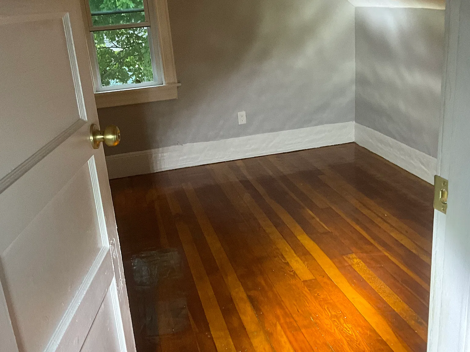 1 bed, 900 sqft, $1,600 — Photo 3