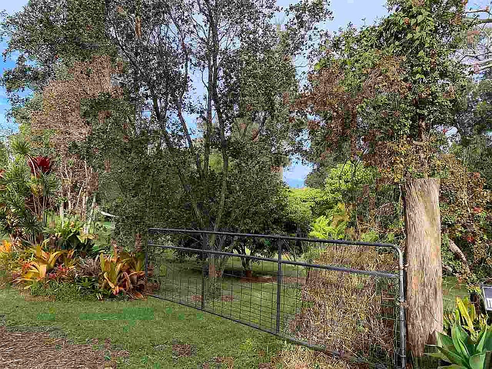Entry gate