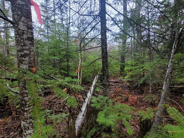 LOT 430 Jay Ln, Millersburg, MI 49759