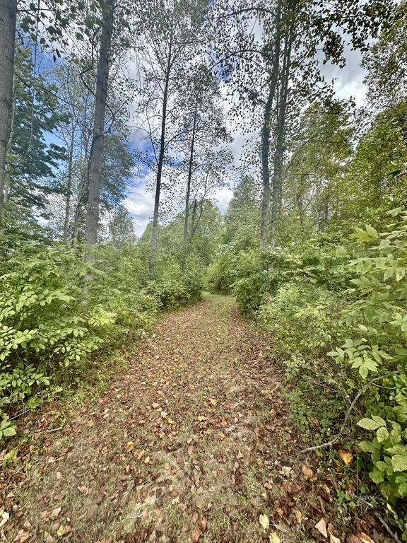 Real estate listing image