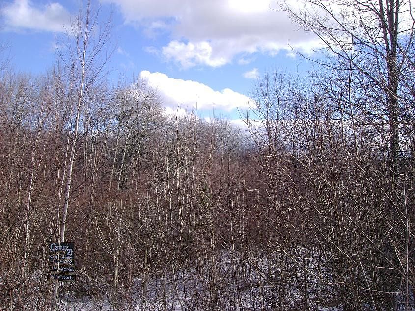 1st image of Cherry Ln