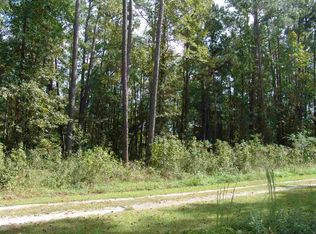 4 Dunbar Rd, Georgetown, SC 29440